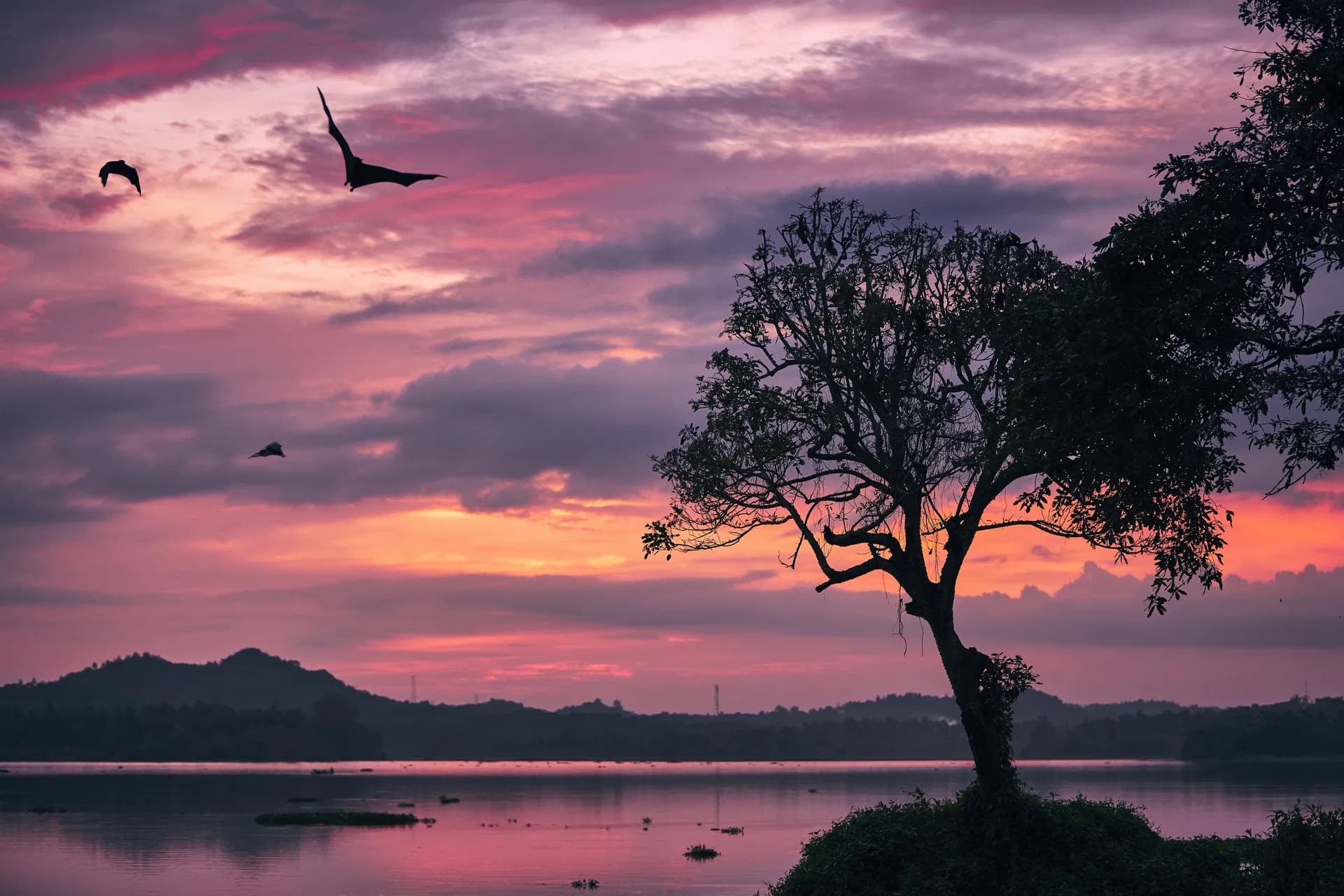 Travelers exploring Sri Lanka's scenic landscapes